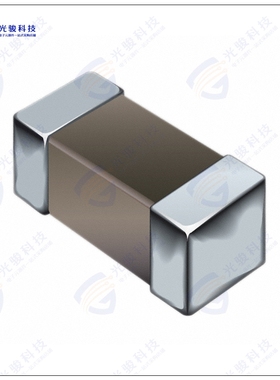 CS160808-1R2K 电感器FIXED IND 1.2UH 100MA 600MOHM SM