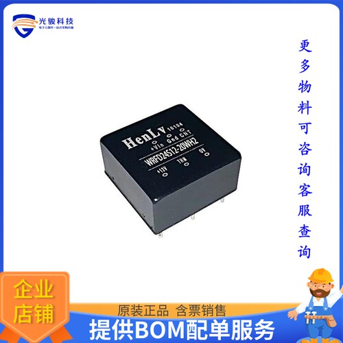 3986-WRFD12S24-20WH2电源模块【DC DC Power Converter 24V 20W