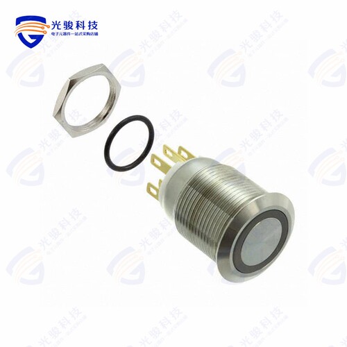 PV4F2Y0SS-301 《SWITCH PUSHBUTTON DPST 2A 24V》