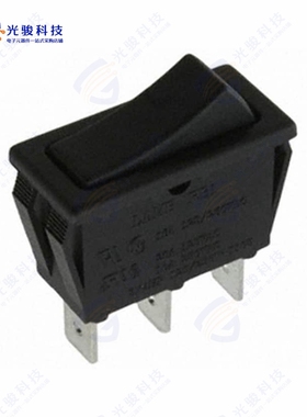 RB143D1100 《SWITCH ROCKER SPDT 20A 125V》