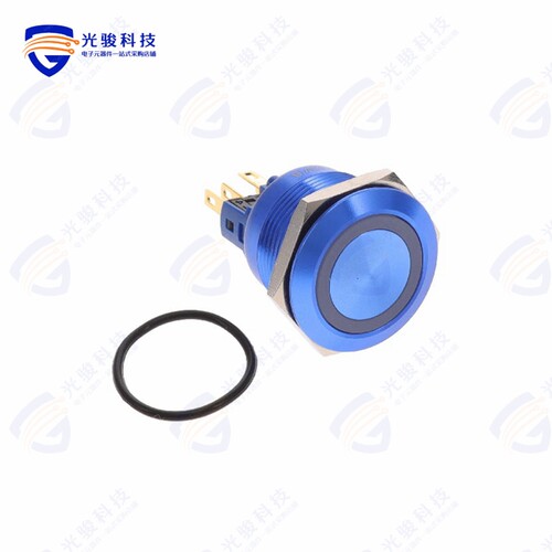 DH221NBUB12 《ILLUMINATED, IP67 ANTI-VANDAL SW》