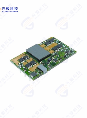 QME48T40012-NGB0G《DC DC CONVERTER 1.2V 48W》