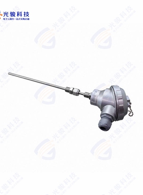 ITTP400A《TEMP PROBE PT100 6X400MM 1/4