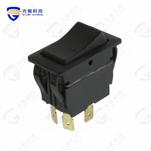 SWITCH 125V ROCKER 20A DPST RVW42D1100