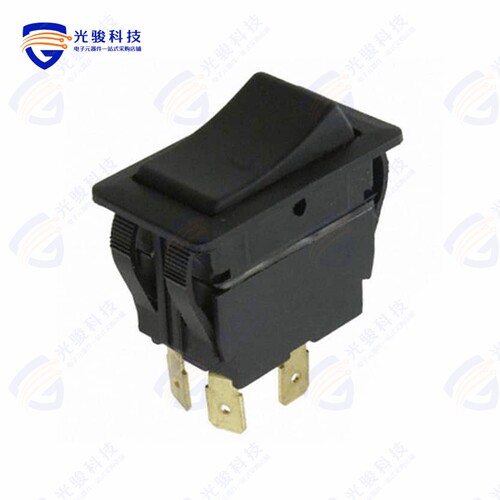 RVW42D1100 《SWITCH ROCKER DPST 20A 125V》