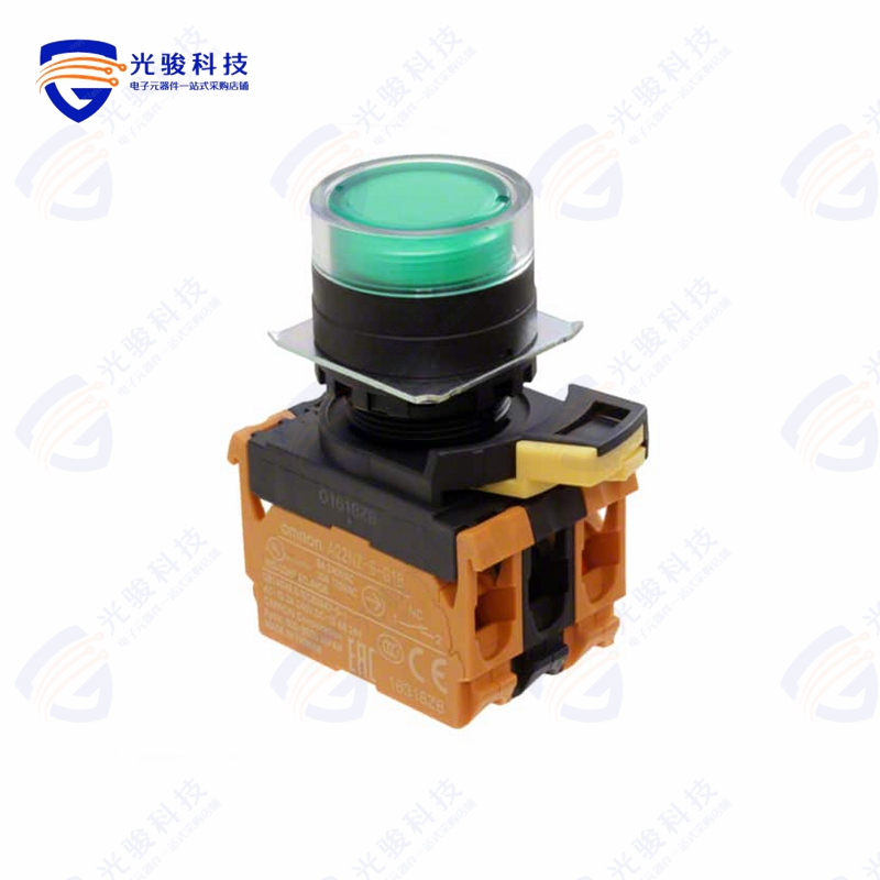 A22NL-BGM-TGA-G202-GC 《SWITCH PUSH DPST-NC 10A 120V》
