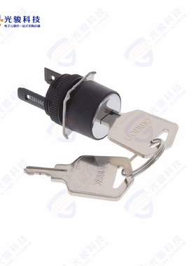 A165K-T3MAL 《CONFIG SW BODY KEYLOCK NON-ILLUM》