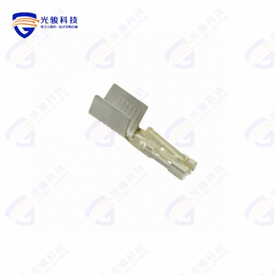1718250100《TERM BLADE FEMALE 10-12AWG TIN》
