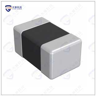 IND 240NH 3.8A DFE201210U MOHM 电感器FIXED SMD R24M=P2