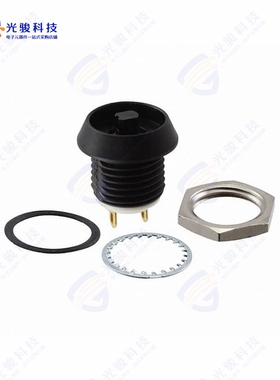AP2N000TZBE 《SWITCH PUSH SPST-NO 0.125A 125V》