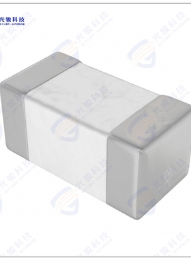 LRC0603CS3N9GV001T 电感器FIXED IND 3.9NH 300MA 250MOHM SM