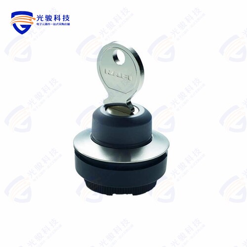 1.30295.0020000 《CONFIG SW BODY KEYLOCK NON-ILLUM》
