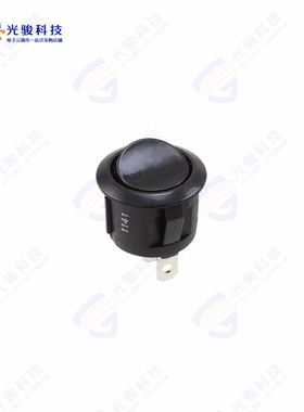 RRG38431100 《SWITCH ROCKER SPST-NO 10A 125V》