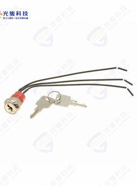 Y108122A2WCNQE 《SWITCH KEYLOCK 2POS SPDT 4A 125V》