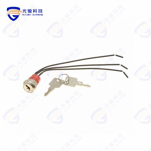 Y108122A2WCNQE 《SWITCH KEYLOCK 2POS SPDT 4A 125V》
