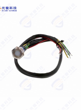 AV1920DG12T5Q04 《SWITCH PUSHBUTTON DPDT 3A 250V》