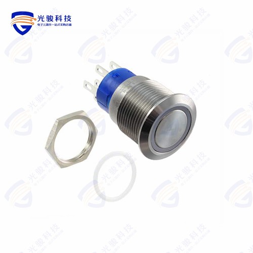 AV1910DG12Q04 《SWITCH PUSHBUTTON SPDT 3A 250V》
