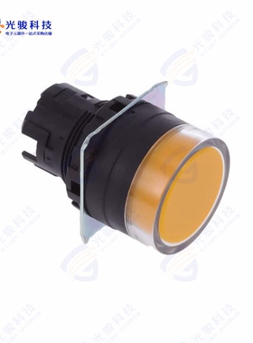 A22NZ-BGM-NYA 《CONFIG SW BODY PUSHBUT NON-ILLUM》