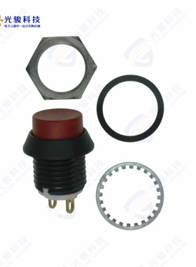 AP2C300TZBE 《SWITCH PUSH SPST-NO 0.125A 125V》