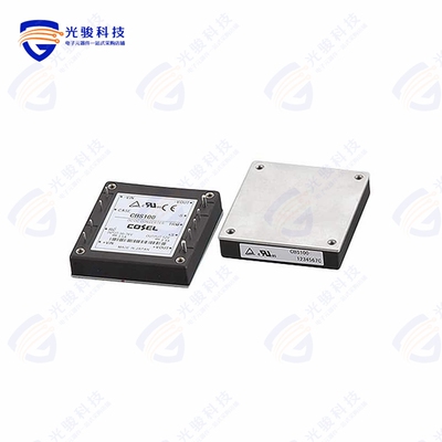 CBS100242R5-T《DC DC CONVERTER 2.5V 59W》