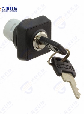 1.30076.1010000 《CONFIG SW BODY KEYLOCK NON-ILLUM》