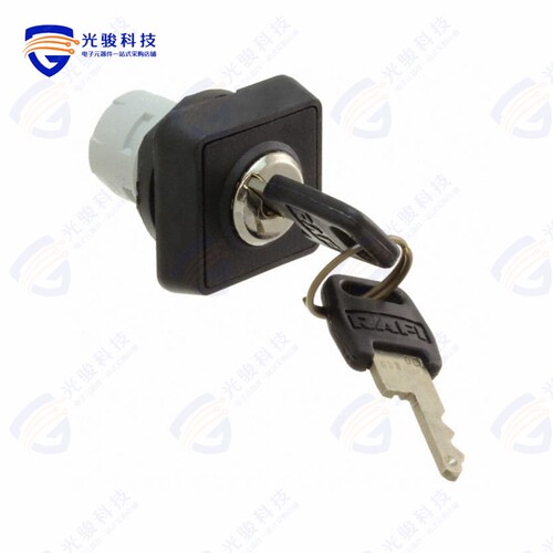 1.30076.1010000 《CONFIG SW BODY KEYLOCK NON-ILLUM》