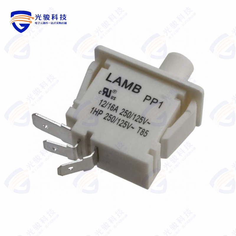 PP1-FB7-2D2 《SWITCH SNAP ACTION SPDT 16A 125V》