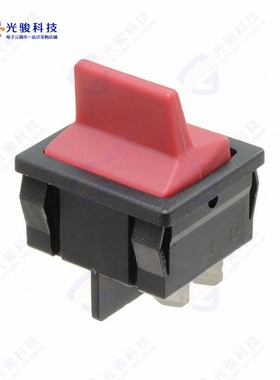 D602J53S205QA 《SWITCH ROCKER DPST 10A 125V》