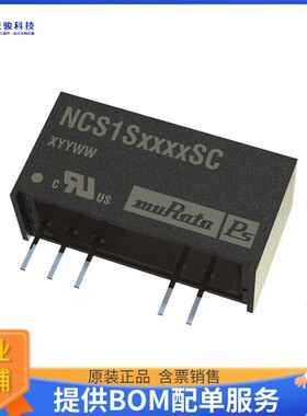 NCS1S2403SC电源模块【DC DC CONVERTER 3.3V 1W】