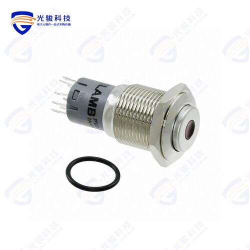 PV3H2H0NN-214 《SWITCH PUSHBUTTON DPDT 2A 48V》