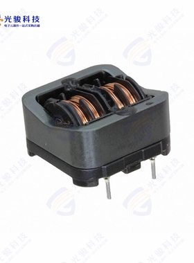 SSR21NHS-07290《CMC 29MH 700MA 2LN TH》