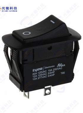 1571102-6 《SWITCH ROCKER DPST 20A 125V》