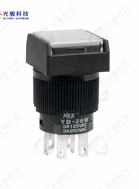 YB26WSKW01-1F05-JA 《SWITCH PUSHBUTTON DPDT 3A 125V》