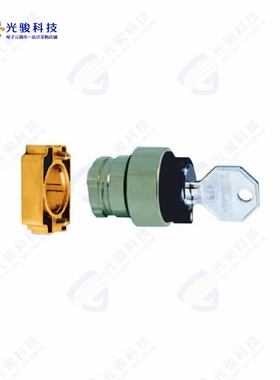 2AK2-02 《CONFIG SW BODY KEYLOCK NON-ILLUM》