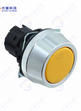 A30NZ-MGA-NYA 《CONFIG SW BODY PUSHBUT NON-ILLUM》