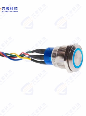 ULV4FWGSS341 《19MM ANTI-VANDAL ILLUMINATED IP6》