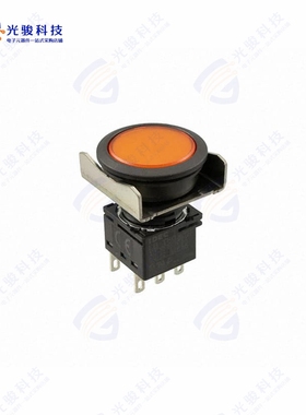 LBW6L-M1T64A 《LBW FLUSH ILLD PB MOME. AMBER》