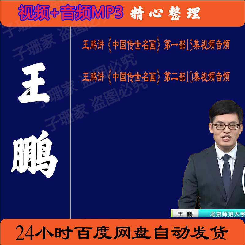 王鹏讲中国传世名画历史资料视频百家讲坛音频MP3