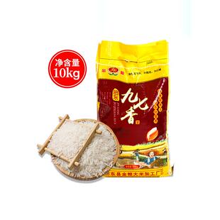 广西田东九七香米