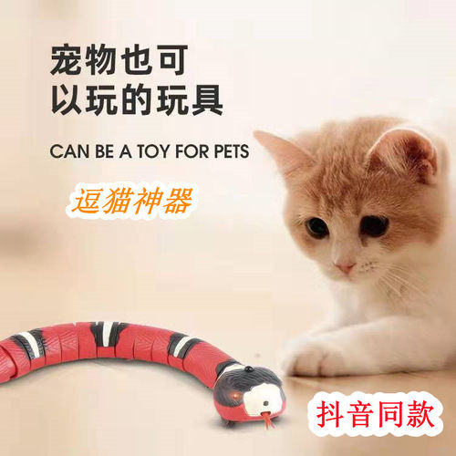 电动感应逗猫玩具猫咪用品自嗨猫猫玩具解闷耐摔玩具蛇电动可充电 - 封面