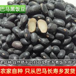 当季白心黑饭豆广西黑豆农家黑眉豆新鲜肾形粉粉糯糯正宗纯天然
