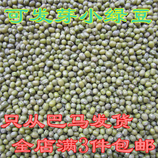 广西特产巴马杂粮小颗粒绿豆青小豆能发豆芽毛绿豆明绿豆随机发货