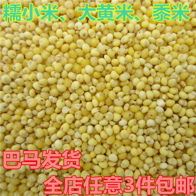 糯小米大黄米黏小米广西特产杂粮