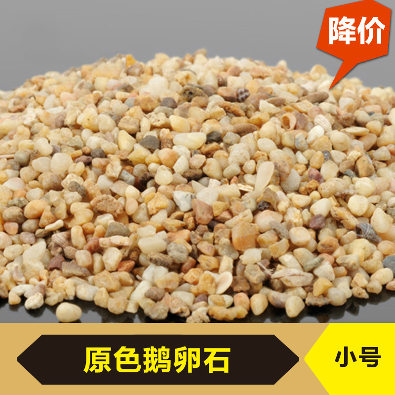 原色鹅卵石 DIY建筑模型材料小屋景观沙盘 小号石子 花盆鱼缸石头
