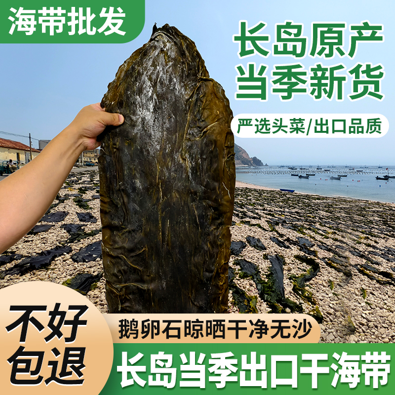 长岛出口纯净海带干货无沙荣成厚海带片海带丝结凉拌煲汤火锅食材