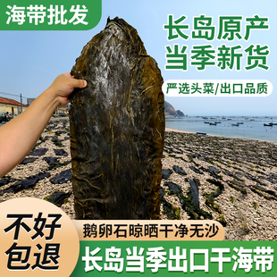 长岛出口纯净海带干货无沙荣成厚海带片海带丝结凉拌煲汤火锅食材