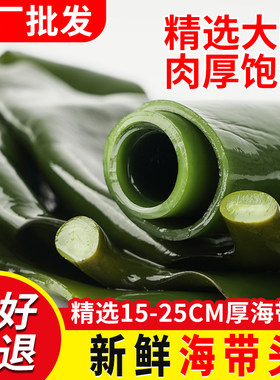 海带头厚海带根5斤整箱商用火锅