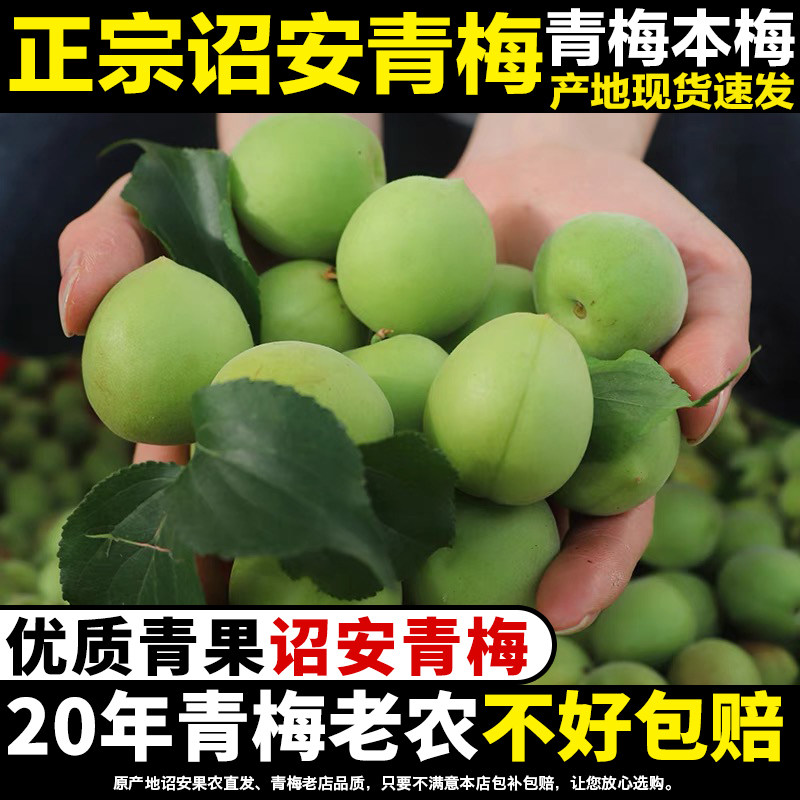 青梅鲜果新鲜现摘青竹梅小白梅胭脂梅子泡青梅酒酵素梅汁梅露酸梅