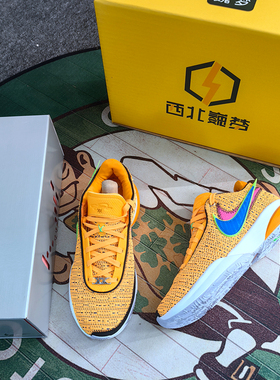 Nike LeBron 20詹姆斯LBJ20 詹20 低帮实战男子篮球鞋DJ5422-100