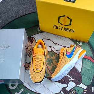 Nike LeBron 20詹姆斯LBJ20 詹20 低帮实战男子篮球鞋DJ5422-100